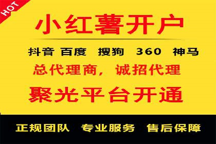 行业领先企业的SEM广告投放策略案例
